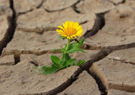 31 dicembre, l’attimo prima del nuovo: la soglia invisibile dell’anno