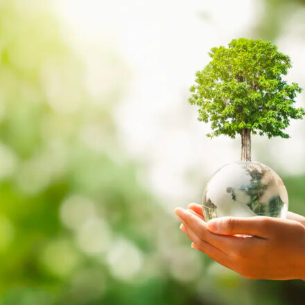 Sorrento, al via il corso di fotografia ambientale del CMEA per gli studenti delle superiori