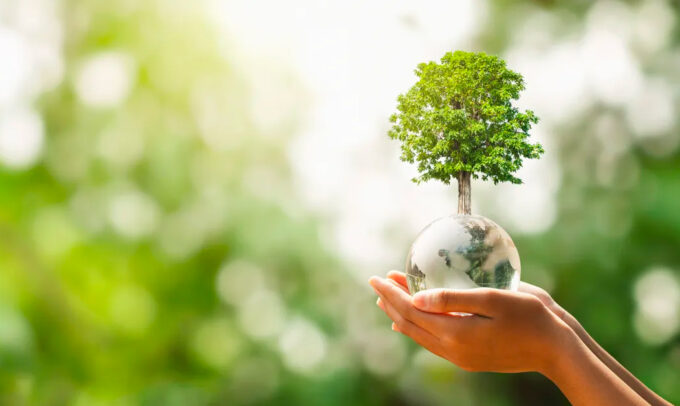 Sorrento, al via il corso di fotografia ambientale del CMEA per gli studenti delle superiori