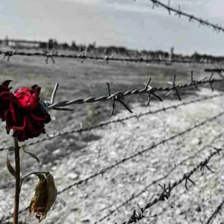 26 gennaio, la vigilia della memoria: riflettere prima di ricordare