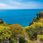 Sorrento, gli auguri più sinceri al Professor Lucio Scibilia per i suoi 97 anni