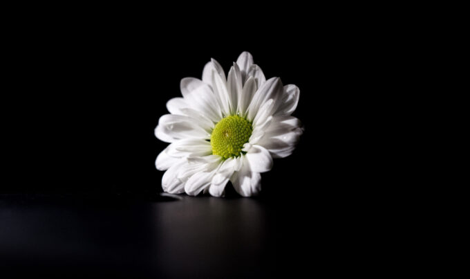 28 gennaio: il giorno dopo la Memoria, quando il ricordo diventa responsabilità