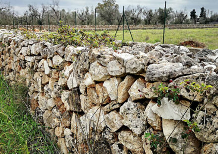 Il termine “Muretti a secco” analizzato nel Piccolo Dizionario Amorevole della Penisola Sorrentina e Costiera Amalfitana