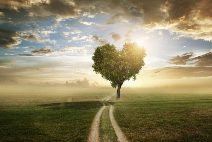 22 gennaio: il valore della perseveranza nel giorno del riequilibrio