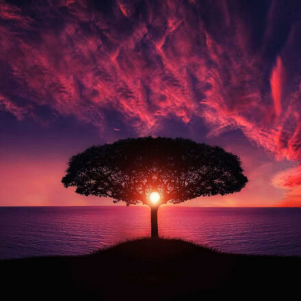 Giornate senza fretta: il segreto nascosto del 10 gennaio