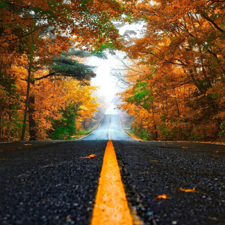 Il 20 gennaio: una pausa per misurare la nostra strada