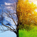 Positano, 83 anni dall’affondamento della nave italiana Salemi. Un episodio eroico della nostra storia