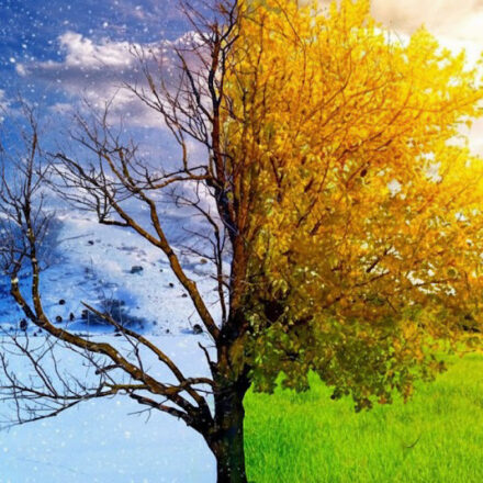 I detti popolari sul meteo legati al giorno della Candelora