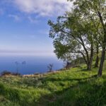 I detti popolari sul meteo legati al giorno della Candelora