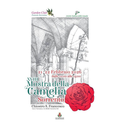 A Sorrento la XVIII Mostra della Camelia: un omaggio alla bellezza nel cuore della città