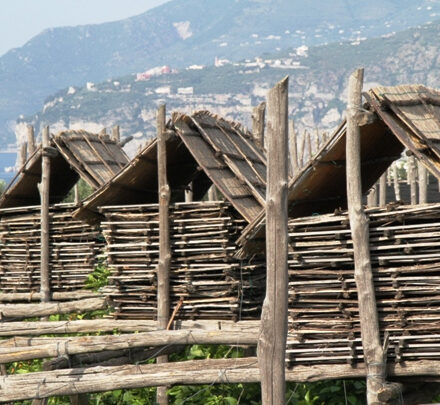 I termini “Pergolati e pagliarelle” analizzati nel Piccolo Dizionario Amorevole della Penisola Sorrentina e Costiera Amalfitana