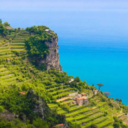 Il termine “Terrazzamenti” analizzato nel Piccolo Dizionario Amorevole della Penisola Sorrentina e Costiera Amalfitana