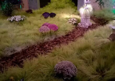 Il Racconto del Lunedì del Professor Ciro Ferrigno: il grano per i Sepolcri