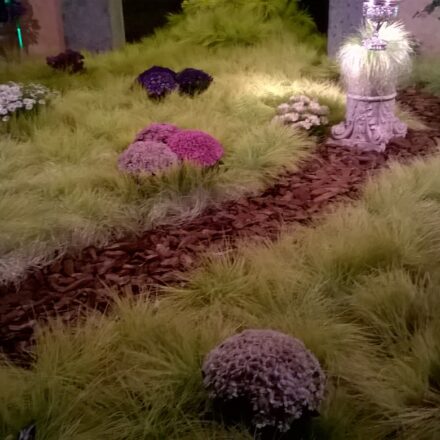 Il Racconto del Lunedì del Professor Ciro Ferrigno: il grano per i Sepolcri