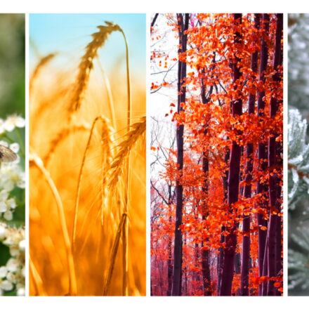 Il termine “Stagione” analizzato nel Piccolo Dizionario Amorevole della Penisola Sorrentina e Costiera Amalfitana