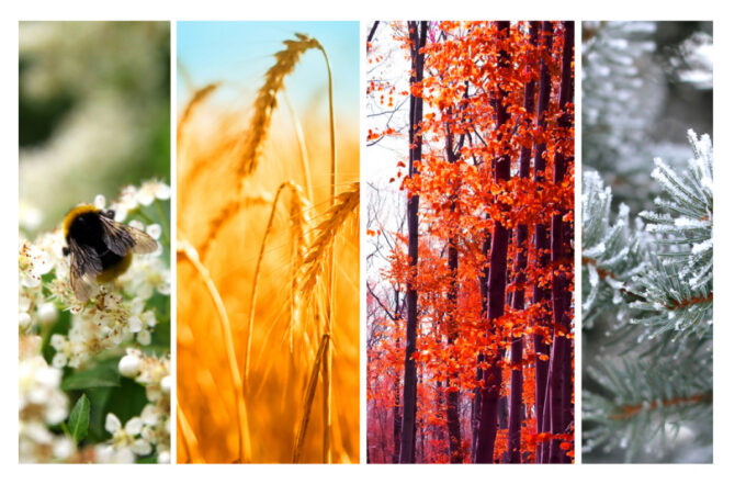 Il termine “Stagione” analizzato nel Piccolo Dizionario Amorevole della Penisola Sorrentina e Costiera Amalfitana