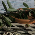 Domenica delle Palme: il ramo d’ulivo tra fede, tradizione e antiche credenze popolari