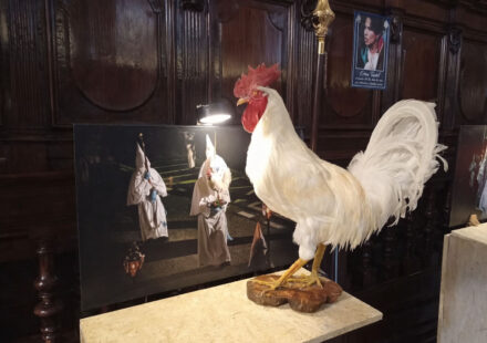 Il gallo nelle processioni della Settimana Santa in penisola sorrentina: memoria viva del rinnegamento di Pietro