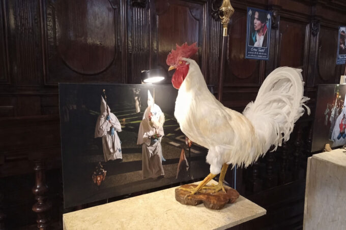 Il gallo nelle processioni della Settimana Santa in penisola sorrentina: memoria viva del rinnegamento di Pietro