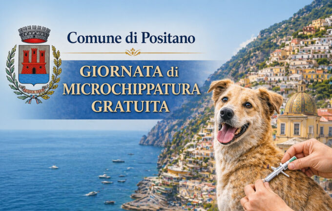 Positano, giovedì 23 aprile giornata di microchippatura gratuita per i cani