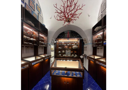 A Meta un museo delle conchiglie grazie a Silvio Di Liegro – FOTOGALLERY