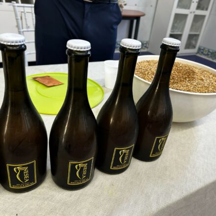 L’arte brassicola entra a scuola: al “San Paolo” di Sorrento un viaggio tra gusto, formazione e territorio – FOTOGALLERY