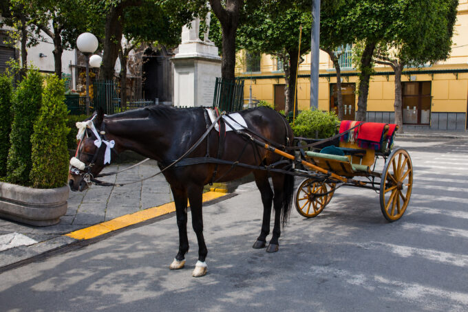 Sorrento, un’ordinanza del sindaco impone lo stop alle carrozzelle a cavalli nelle ore più calde