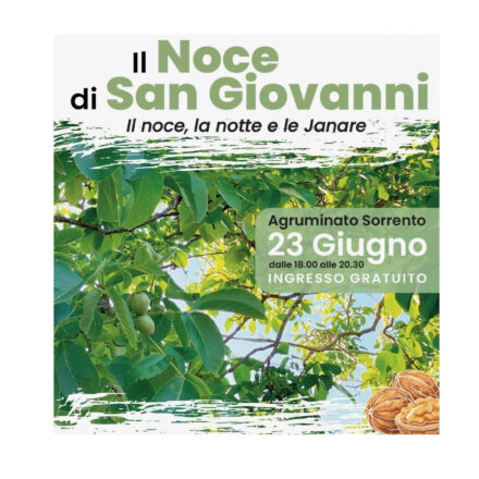 Nell’Agruminato di Sorrento “Il Noce di San Giovanni: il noce, la notte e le janare”