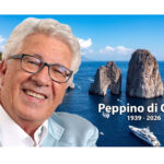 Vico Equense, revocata l’ordinanza sul pino del Pezzolo: riapre l’area dopo gli interventi di messa in sicurezza