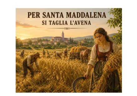 Santa Maddalena e il tempo dell’avena: quando i proverbi indicavano il momento del raccolto