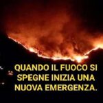 Mercato ortofrutticolo di Piano di Sorrento, sospensione di quattro giorni per alcuni concessionari: accertate violazioni nelle giornate festive