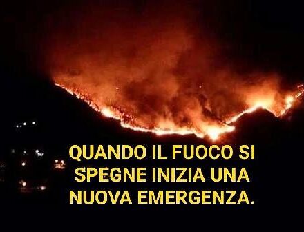 L’allarme di Rosario Lotito sul dopo-incendio: «Quando il fuoco si spegne, inizia una nuova emergenza»