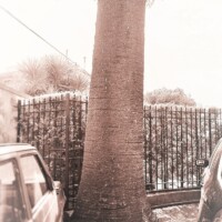 LEAD Technologies Inc. V1.01