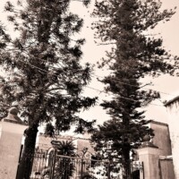 LEAD Technologies Inc. V1.01