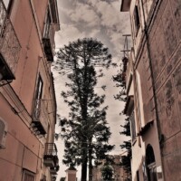 LEAD Technologies Inc. V1.01